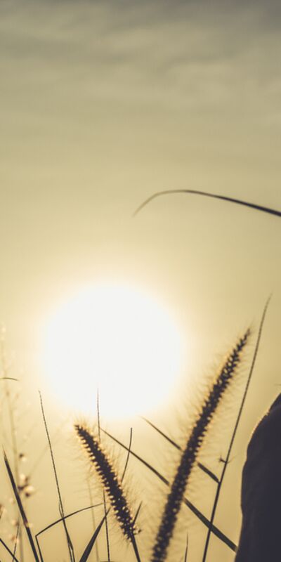 Sezgilerinizi güçlendirmek ister misiniz?