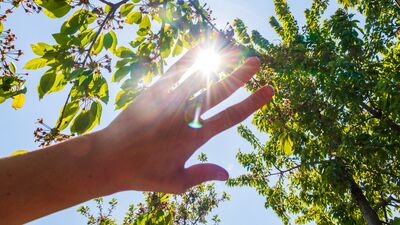 Yürüyüşü maceraya çevirmenin 7 yolu