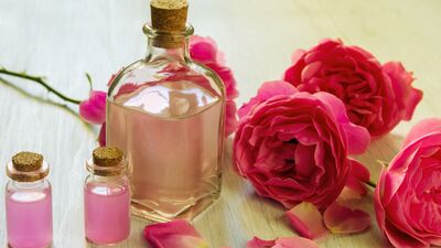 Gül mayası ne işe yarar?