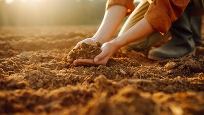 Dünya ile bağlantı kurma: Topraklanma