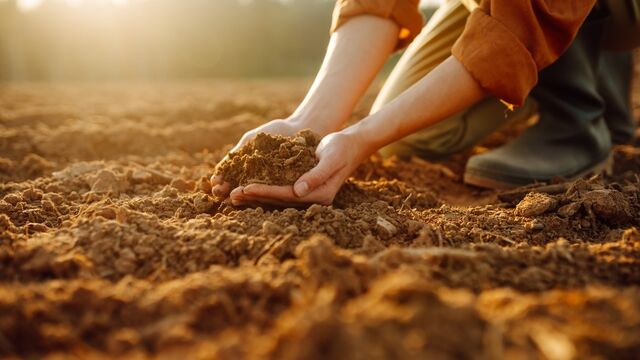Dünya ile bağlantı kurma: Topraklanma