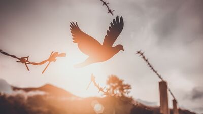 Kişisel gelişim ömür boyu devam eder