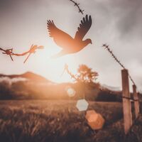 Kişisel gelişim ömür boyu devam eder