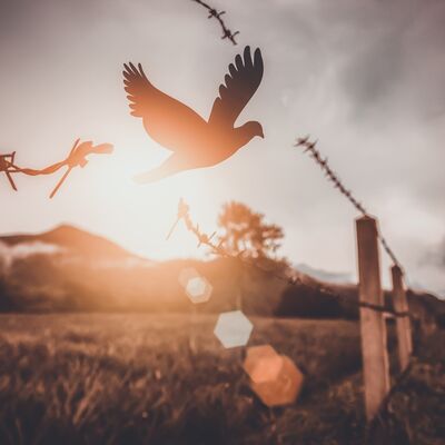 Kişisel gelişim ömür boyu devam eder