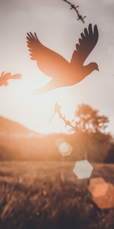 Kişisel gelişim ömür boyu devam eder