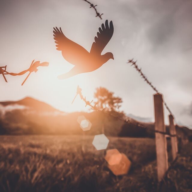 Kişisel gelişim ömür boyu devam eder