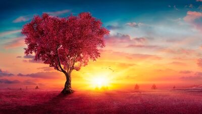 Venüs retrosu: Eros'un oku can yakabilir