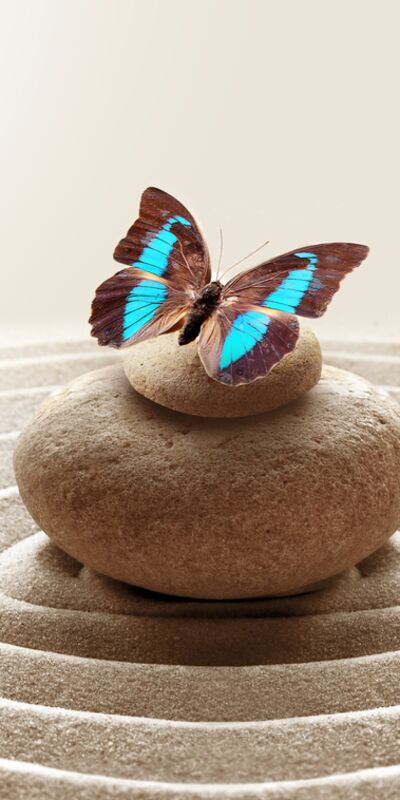 “Ruh kasınızı” güçlendirecek öneriler