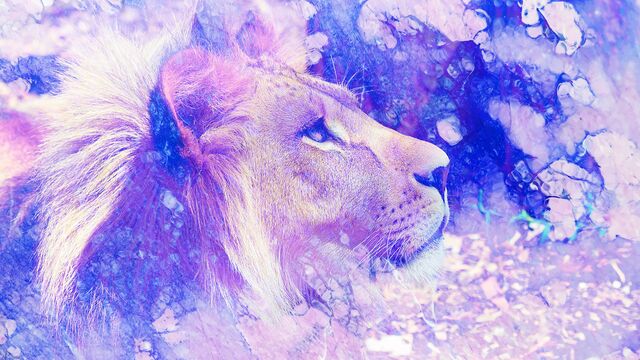 Özel tarih: 08.08 Aslan Kapısı