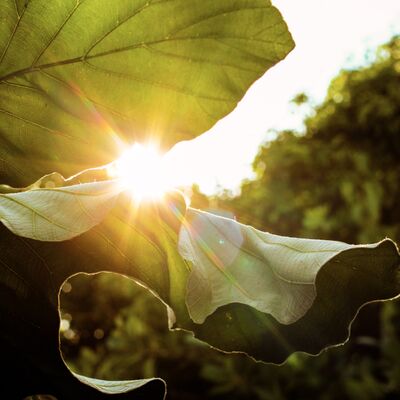 İyimser olmanın 8 yolu