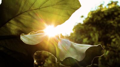 İyimser olmanın 8 yolu