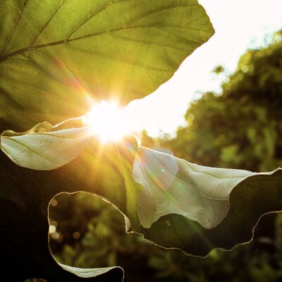 İyimser olmanın 8 yolu