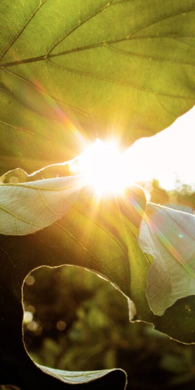 İyimser olmanın 8 yolu