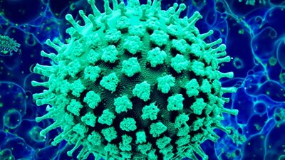 Yeni varyantın adı: Pirola