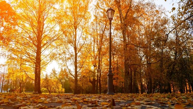 Sonbahara yenilenerek girmenin 8 yolu