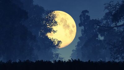 Günlük burç yorumları: 21 Eylül Perşembe