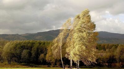 Fırtına ve aşırı rüzgarda almanız gereken önlemler