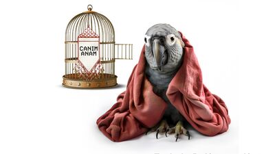 Filmekimi 13 Ekim'de başlıyor