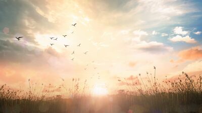 Mevlana'nın 7 öğüdü