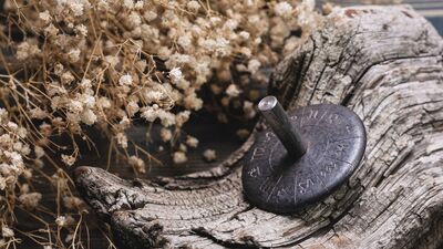 Haftalık burç yorumları: 13 - 19 Kasım