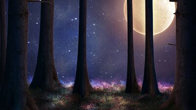 27 Kasım İkizler burcunda Dolunay