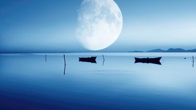 Aylık burç yorumları: Aralık 2023