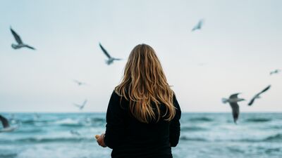 Şu evlilik dedikleri müessese