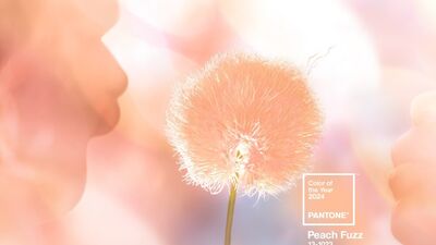 2024 yılının rengi belirlendi: Peach Fuzz