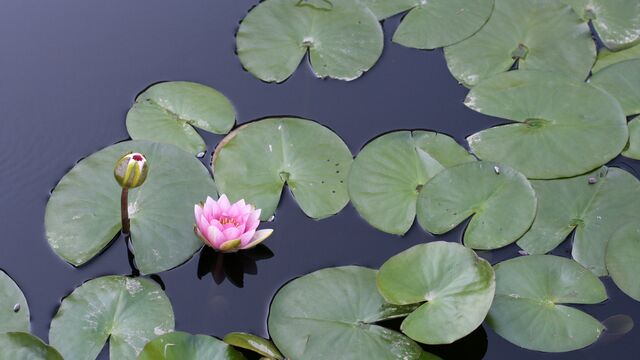 Ruhsal dayanıklılığınızı artıracak 20 ipucu