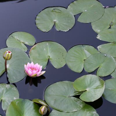 Ruhsal dayanıklılığınızı artıracak 20 ipucu