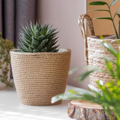 Bitkilerinize saksı seçerken...