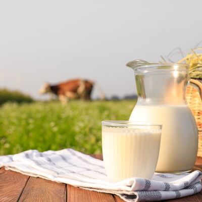 Jersey sütü hakkında bilmeniz gerekenler