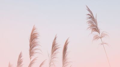 10 dakikada modunuzu değiştirecek öneriler