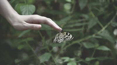 Kendinizi kıyaslamadan duramıyorsanız...