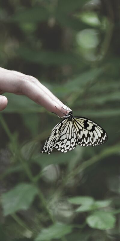 Kendinizi kıyaslamadan duramıyorsanız...