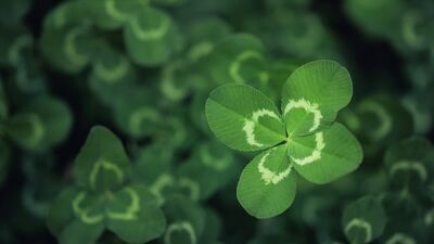 "Hayat, umutsuzluktan umut yaratmaktır"