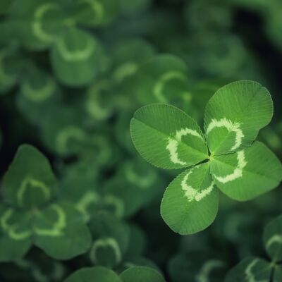 "Hayat, umutsuzluktan umut yaratmaktır"