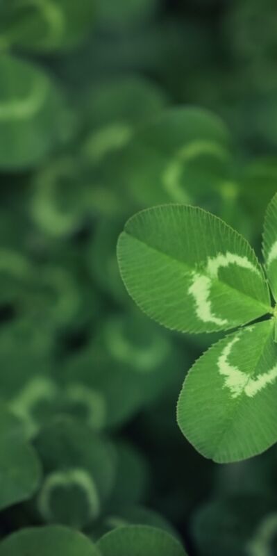 "Hayat, umutsuzluktan umut yaratmaktır"