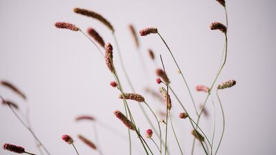 Düşüncelerinizi yeniden yapılandırabilirsiniz