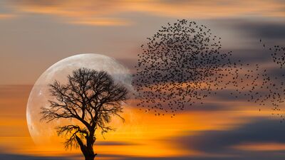 Günlük burç yorumları: 31 Mart Pazar