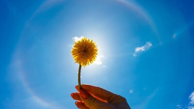 Kararlarınızı etkiliyor: "Halo etkisi"