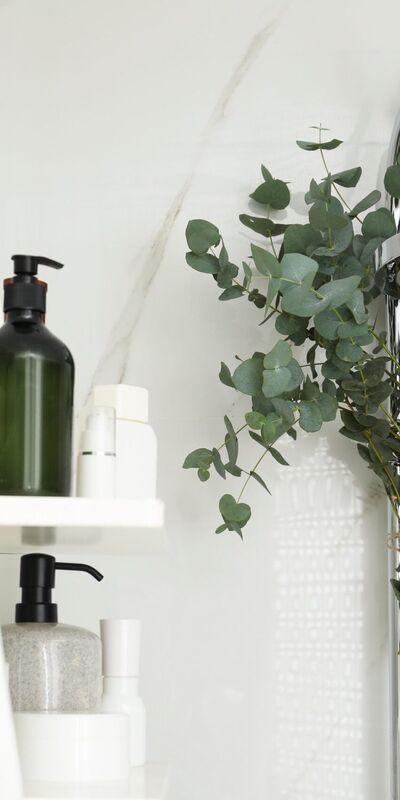 Duşa okaliptüs asmanın faydaları