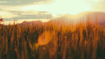 Güne daha hızlı bir başlamak için 5 ipucu