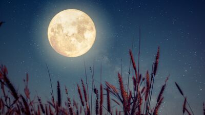 23 Mayıs Yay Dolunay'ı: "Sezgilerini dinle"