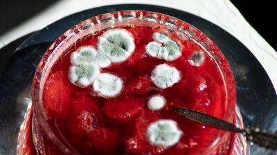 Hangi gıdalar küflenince tüketilmez?