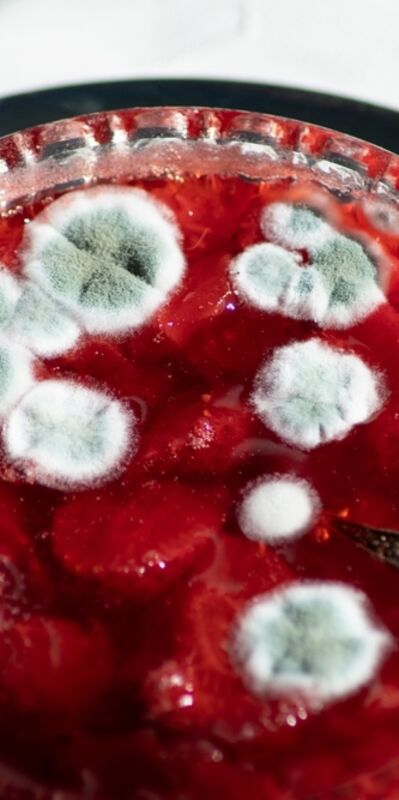 Hangi gıdalar küflenince tüketilmez?