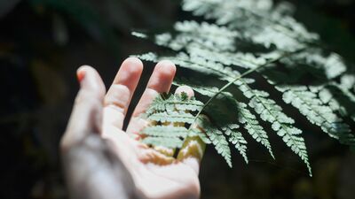 Modern yaşam gölgesinde: Ruhsal yorgunluk