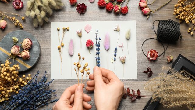 Bu hobiler yükselişte!