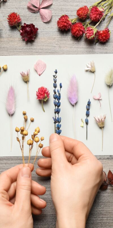 Bu hobiler yükselişte!