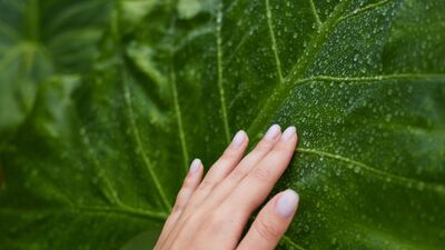 Zihni güçlendirmek için basit adımlar
